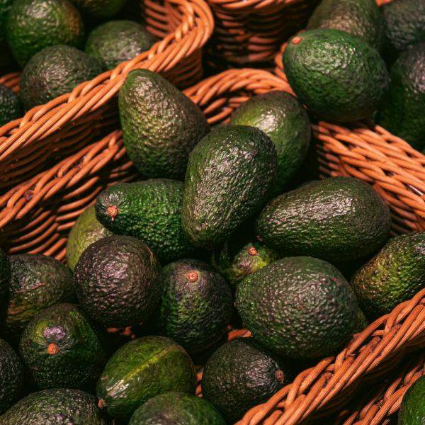Aguacate Hass