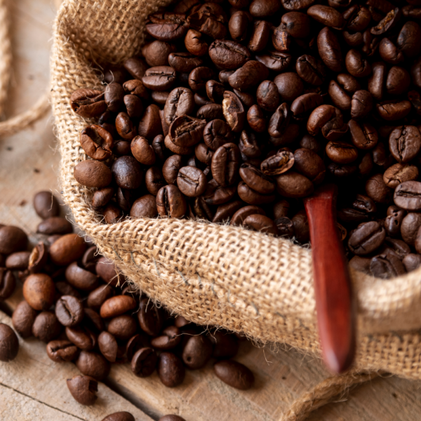 Café Arábica de Altura – Grano Entero